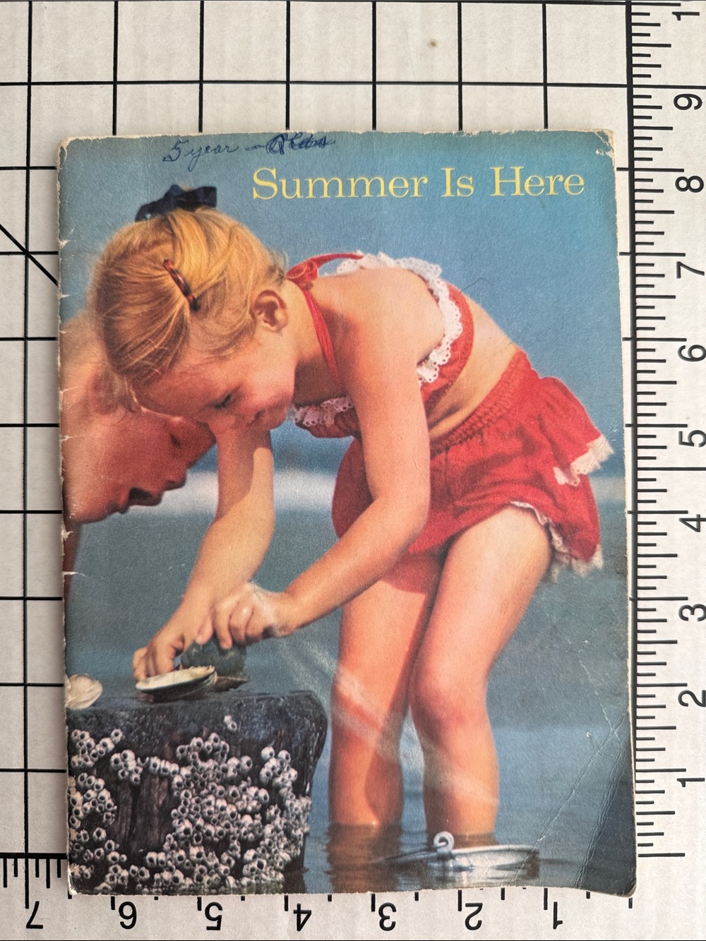 1958 Summer Is Here Vintage Primary Reader School Book Bertha Morris Parker